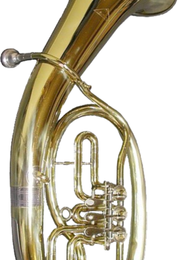 Tenorhorn