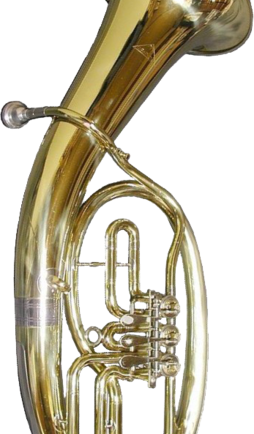 Tenorhorn